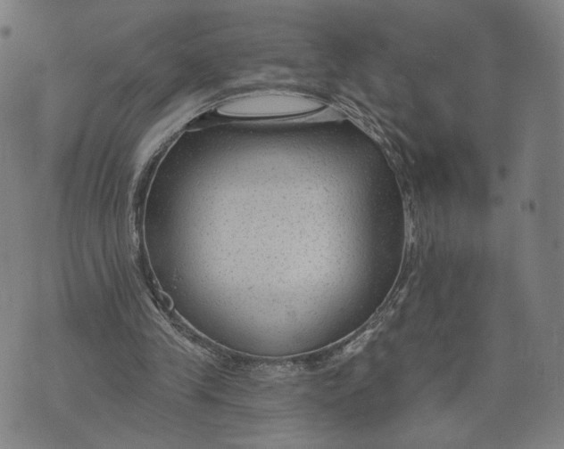 X0000074240245200609151718