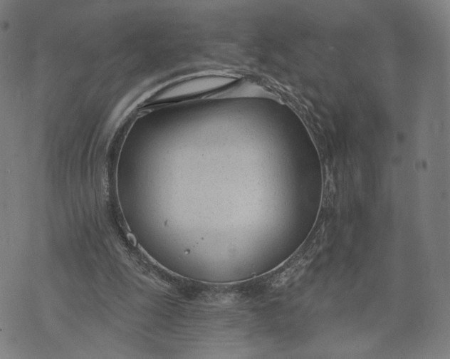 X0000074240247200609151718