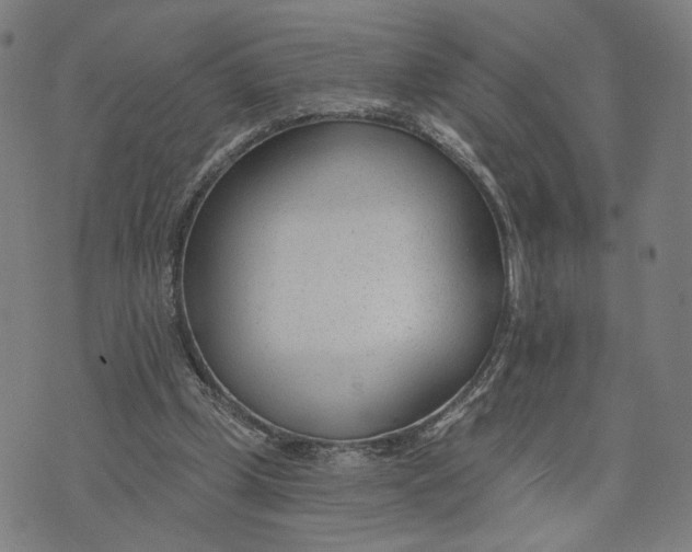 X0000074240249200609151718