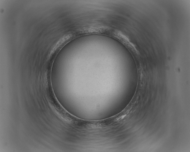 X0000074240250200609151718