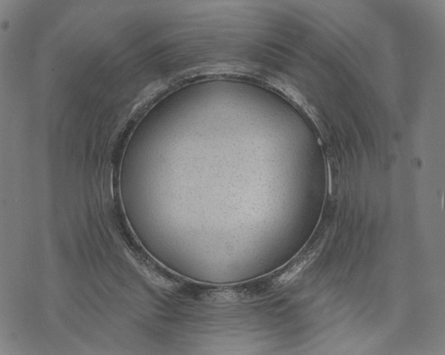 X0000074240253200609151718