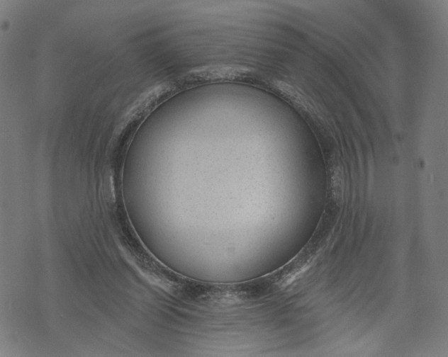 X0000074240254200609151718
