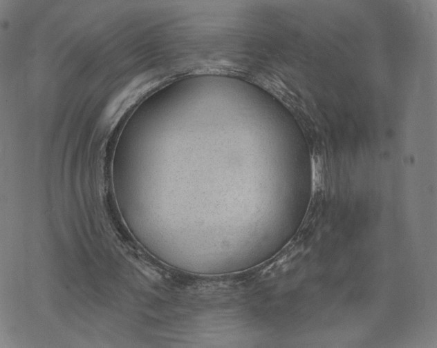 X0000074240291200609151718