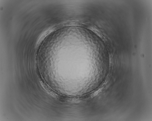 X0000074240293200609151718
