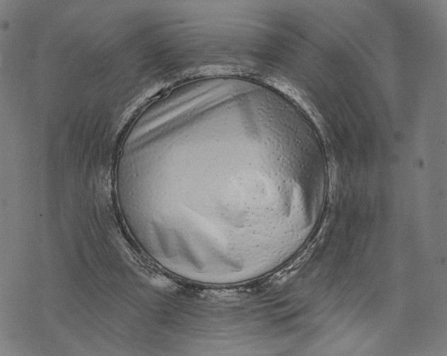X0000074240297200609151718