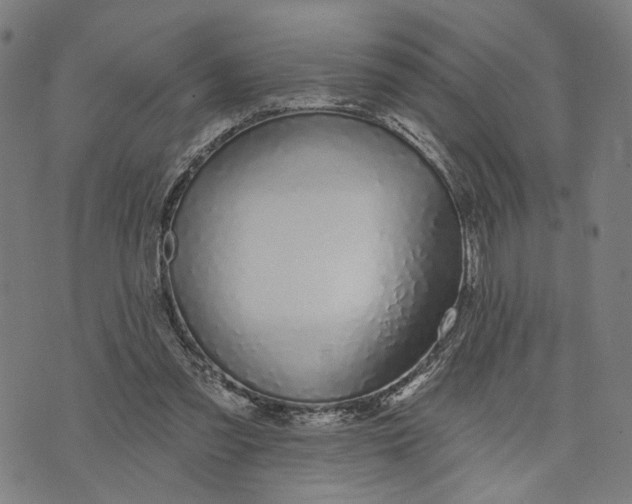 X0000074240301200609151718