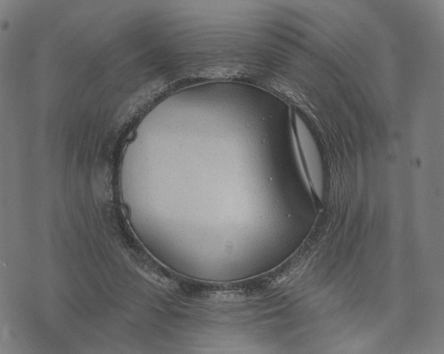 X0000074240303200609151718