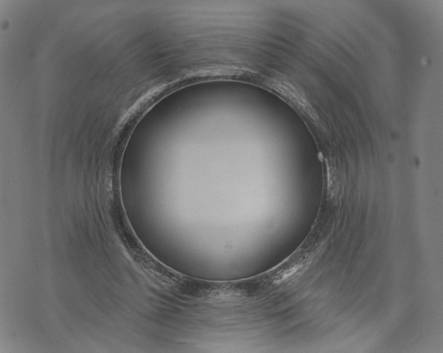 X0000074240348200609151717