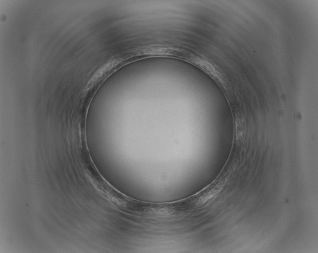 X0000074240349200609151717
