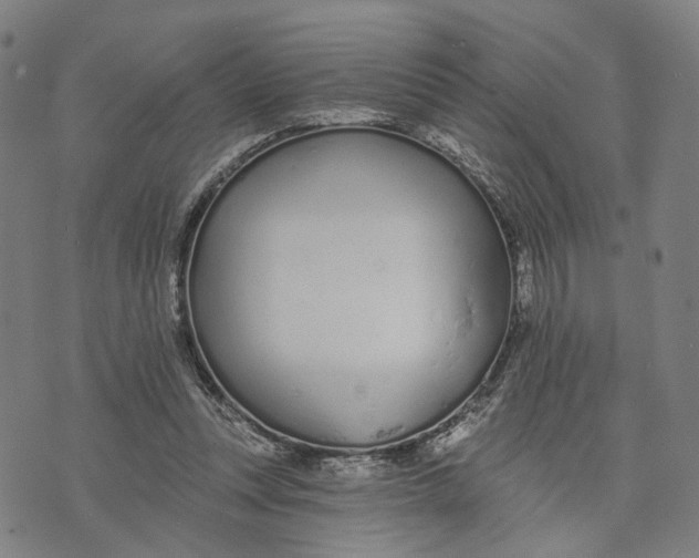X0000074240351200609151717