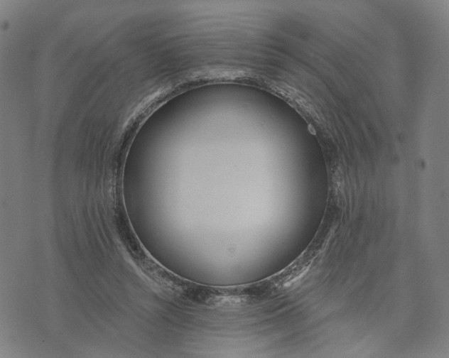 X0000074240352200609151717