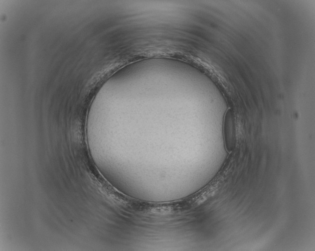 X0000074240353200609151717