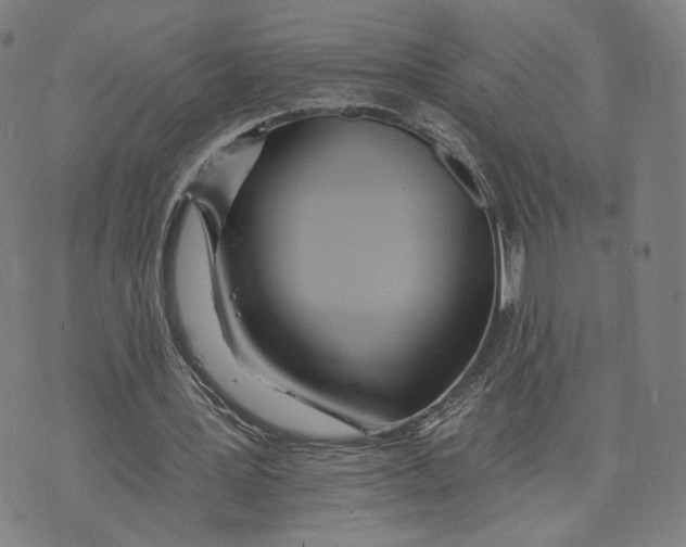 X0000074240387200609151717