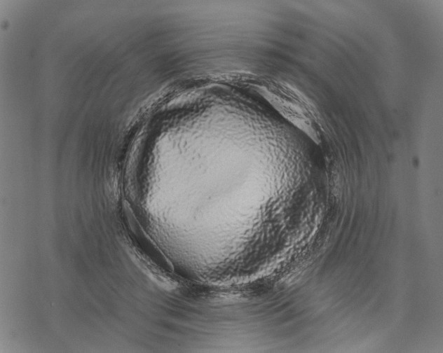 X0000074240405200609151716