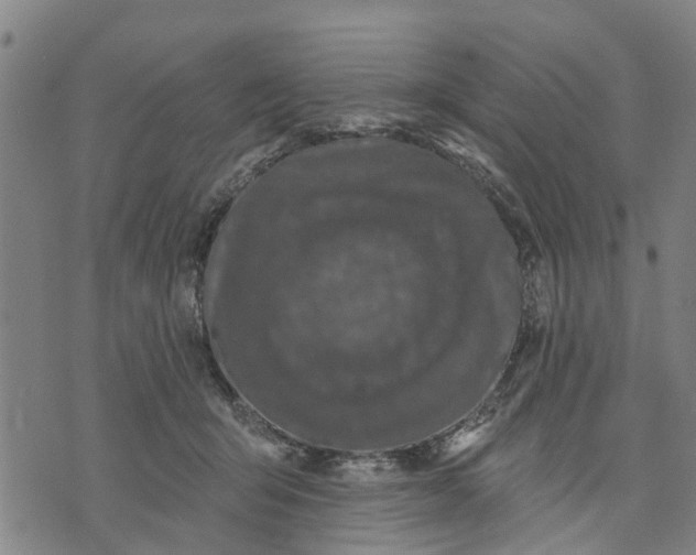 X0000074240415200609151716