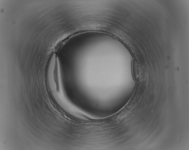 X0000074240434200609151715