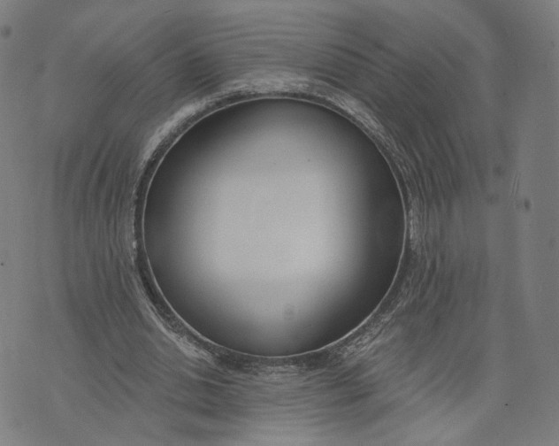 X0000074240438200609151715