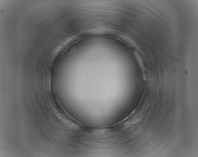 X0000074240446200609151715