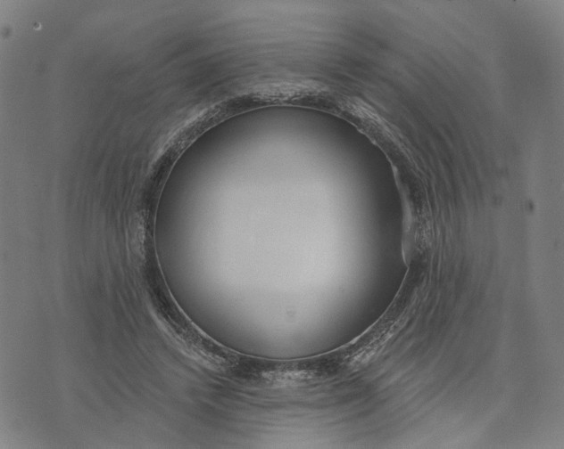 X0000074240448200609151715