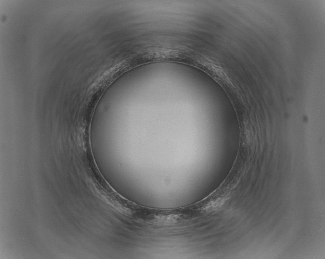X0000074240450200609151715