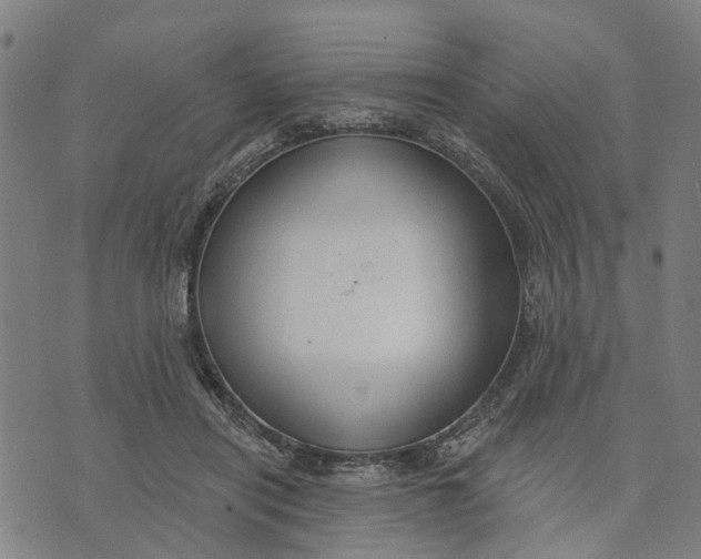 X0000074240454200609151715