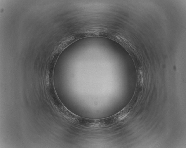 X0000074240504200609151715