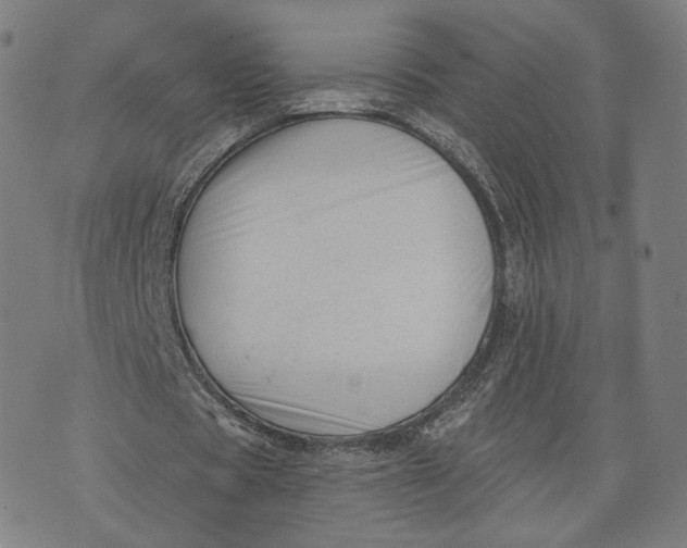 X0000074240529200609151713
