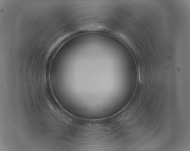 X0000074240531200609151714