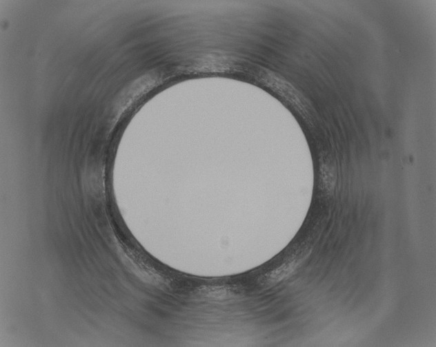 X0000074240534200609151714
