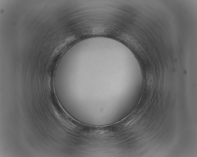 X0000074240542200609151714