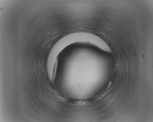 X0000074240566200609151714