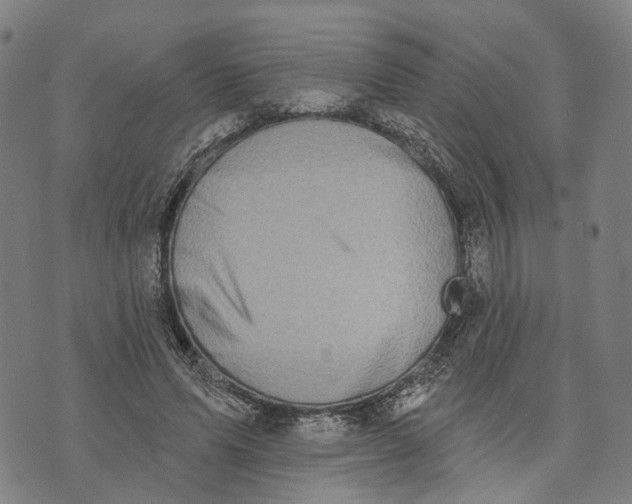 X0000074240591200609151713