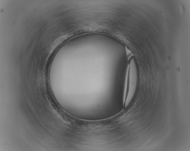 X0000074240626200609151712