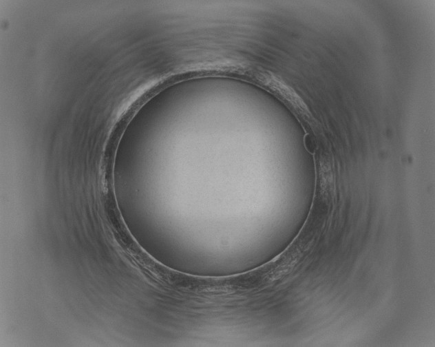 X0000074240628200609151712