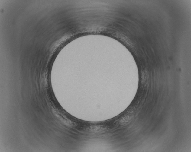 X0000074240632200609151712