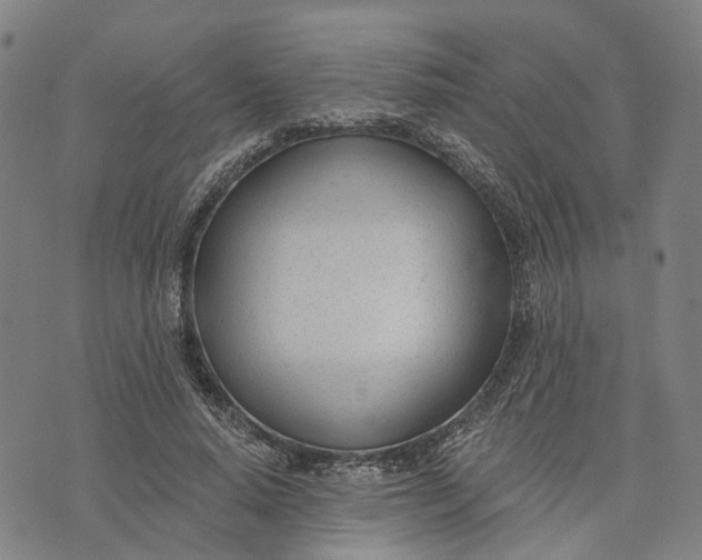 X0000074240640200609151712