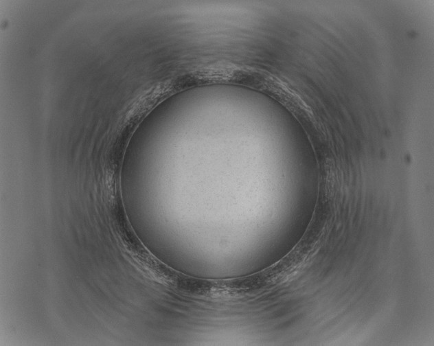 X0000074240641200609151712