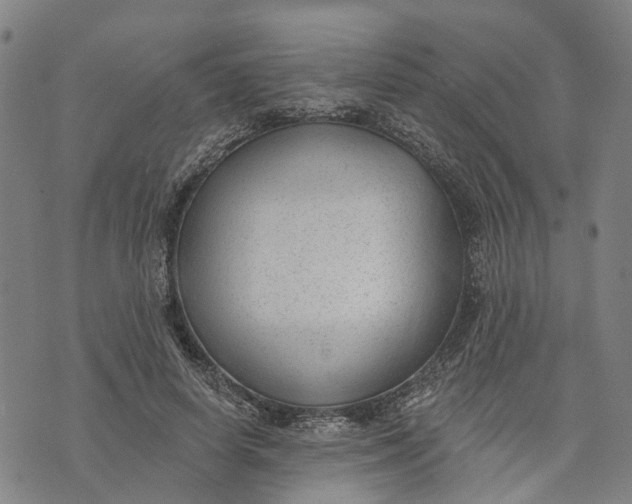 X0000074240642200609151712
