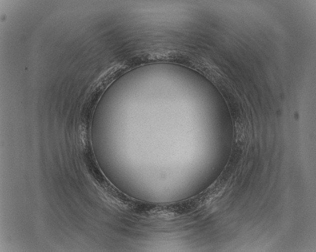 X0000074240648200609151712