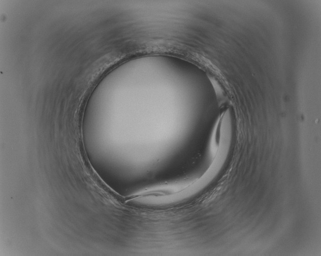 X0000074240673200609151712