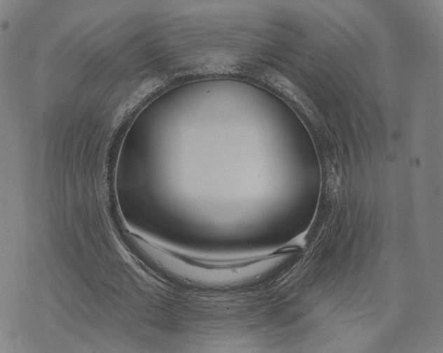 X0000074240677200609151712