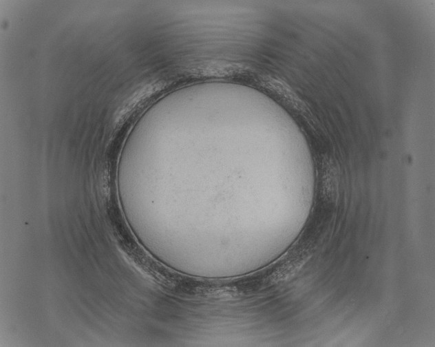 X0000074240683200609151712