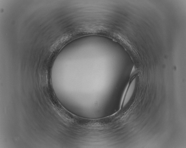 X0000074240685200609151712