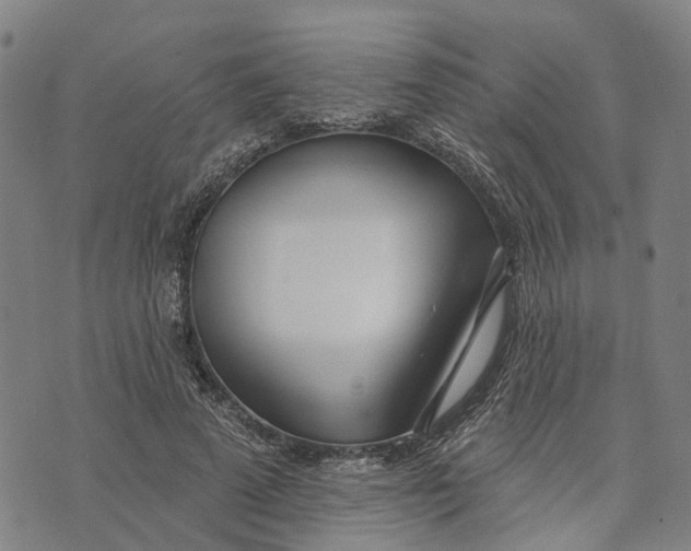 X0000074240689200609151712