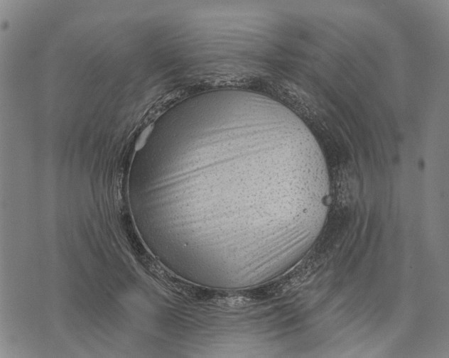X0000074240695200609151711