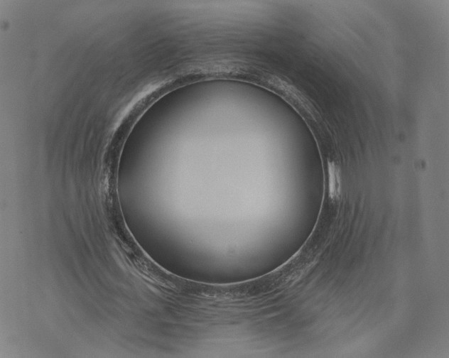 X0000074240723200609151710