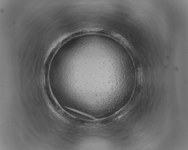 X0000074240726200609151710