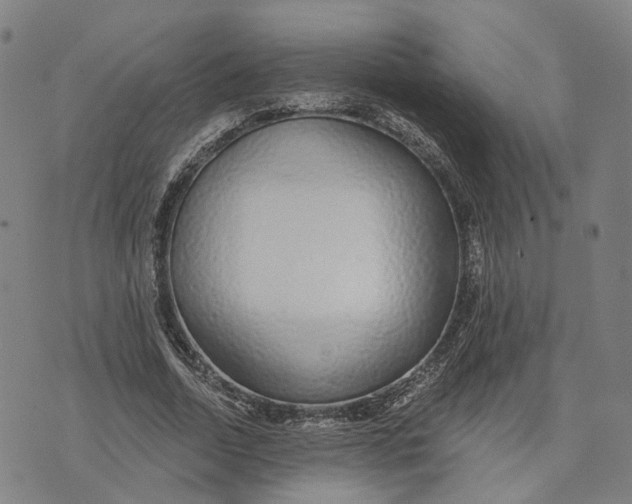 X0000074240730200609151710