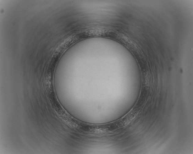 X0000074240737200609151710