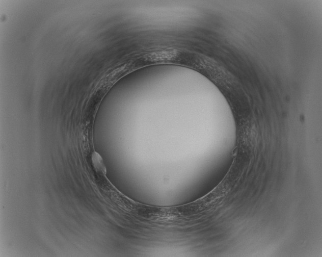 X0000074240743200609151711